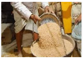 Appointment of 11 teams to investigate ration grains,